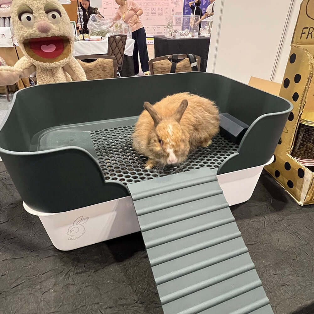 Best Rabbit Litter Box That Separates Pee and Poo (2026 Guide) - LavieLoo Store
