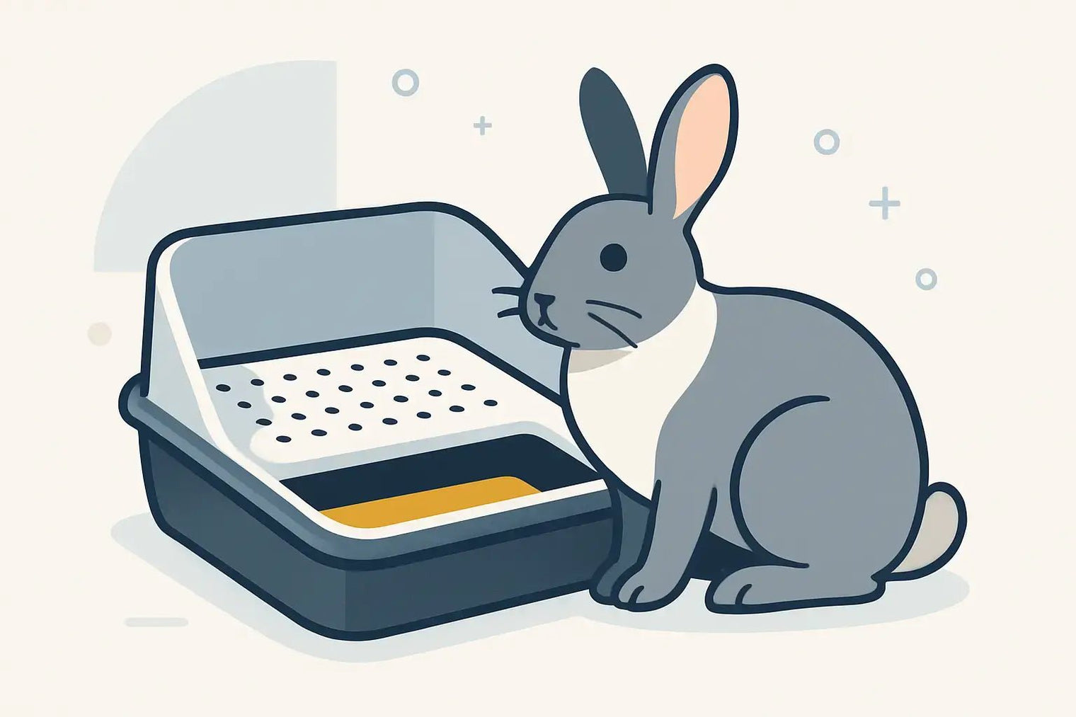 How Does a Urine-Separating Rabbit Litter Box Actually Work? - LavieLoo Store
