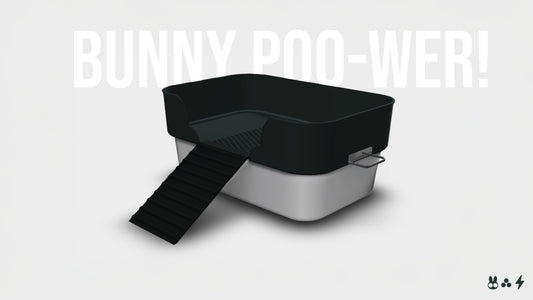 Lavieloo Litterbox - Upgraded Version
